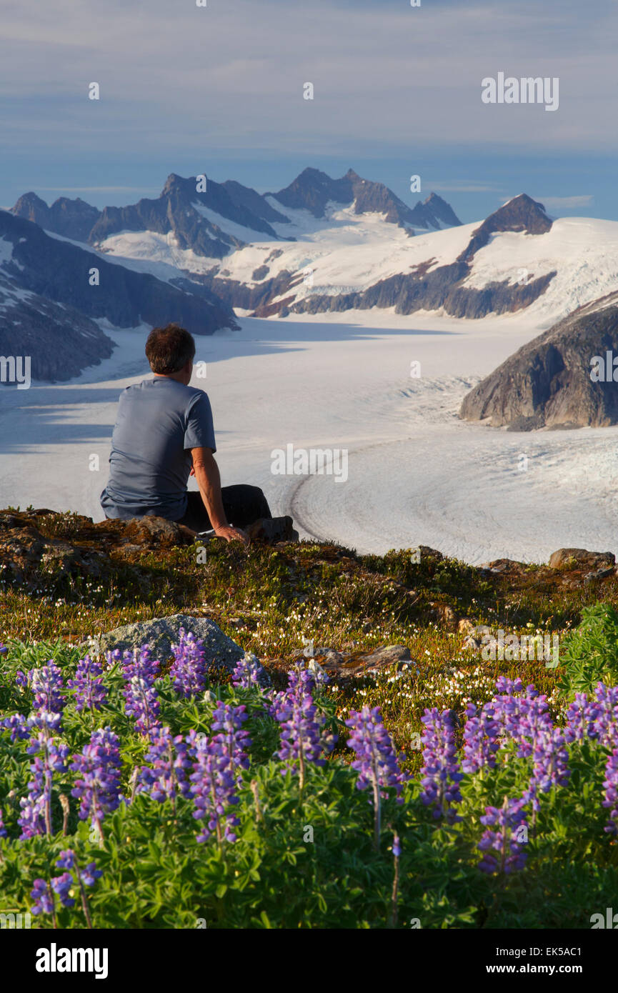 Un randonneur sur le Mont Blanc au-dessus de la poussette Mendenhall Glacier, la Forêt Nationale Tongass en Alaska. (Modèle 1992) Banque D'Images