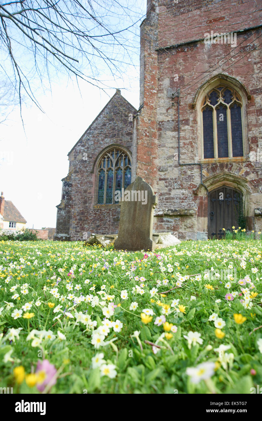 Fleurs sauvages ornent une église cimetière Banque D'Images