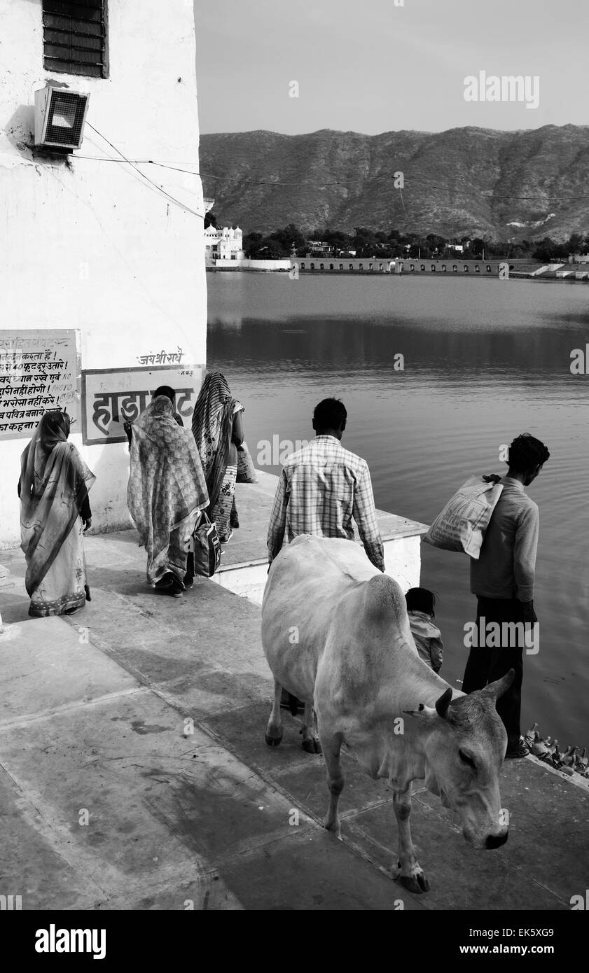 L'Inde, Rajasthan, Pushkar, pèlerins indiens à pied le lac sacré Banque D'Images