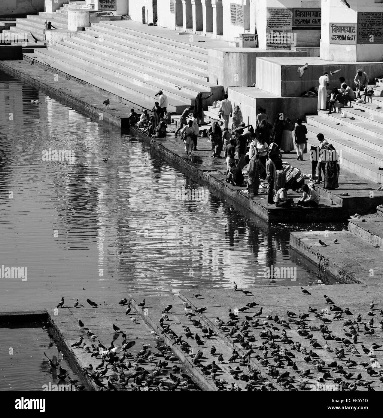 L'Inde, Rajasthan, Pushkar, pèlerins indiens prendre un bain dans le lac sacré Banque D'Images