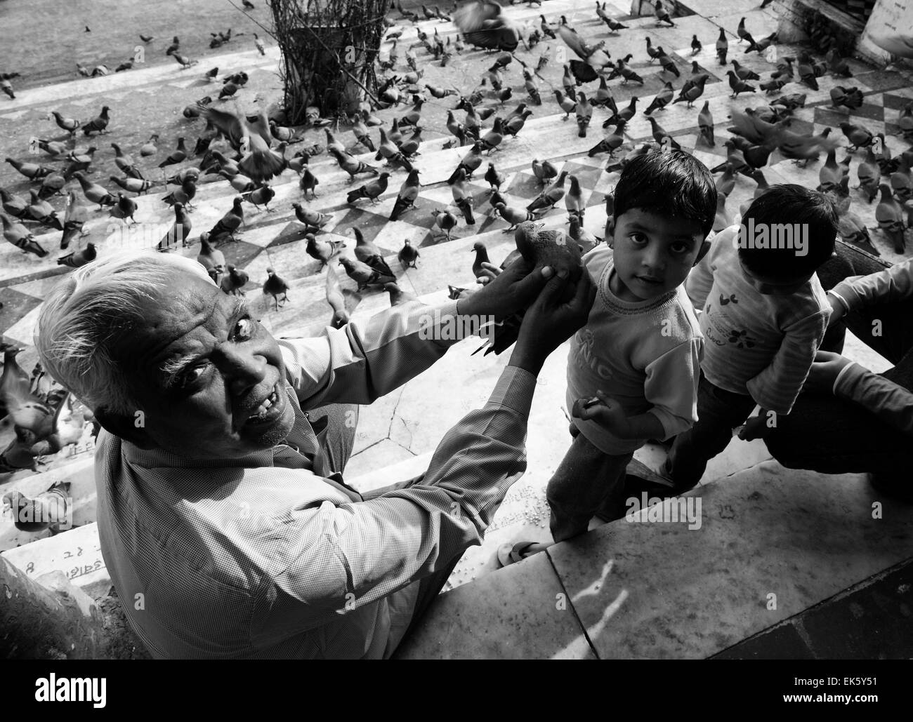 L'Inde, Rajasthan, Pushkar, pigeons sur les étapes pour le lac sacré Banque D'Images