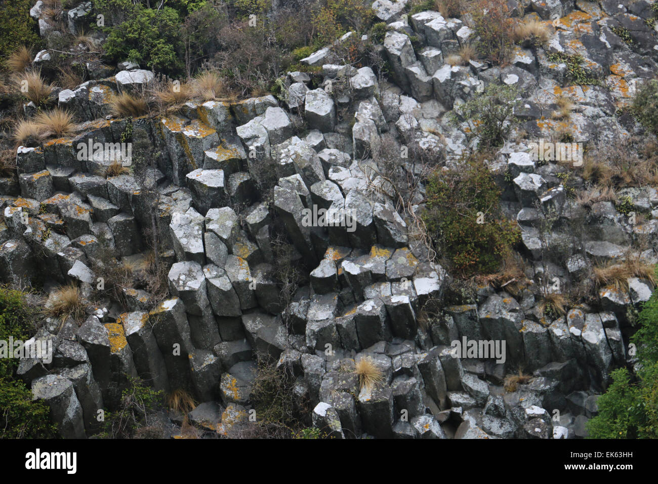 Les pyramides des orgues basaltiques des formations de roche de lave Péninsule d'Otago Dunedin ile sud Nouvelle Zelande Banque D'Images