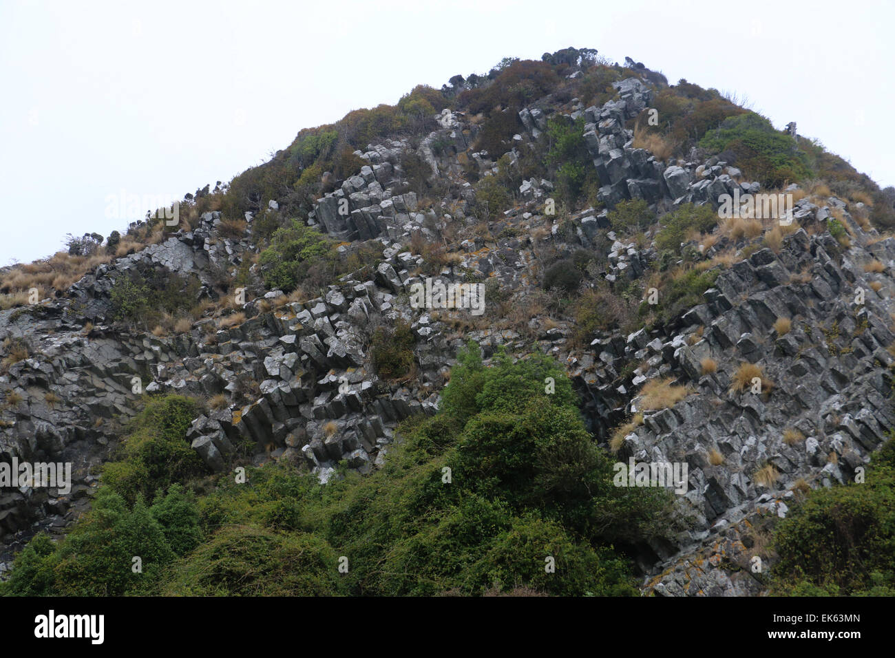 Les pyramides des orgues basaltiques des formations de roche de lave Péninsule d'Otago Dunedin ile sud Nouvelle Zelande Banque D'Images