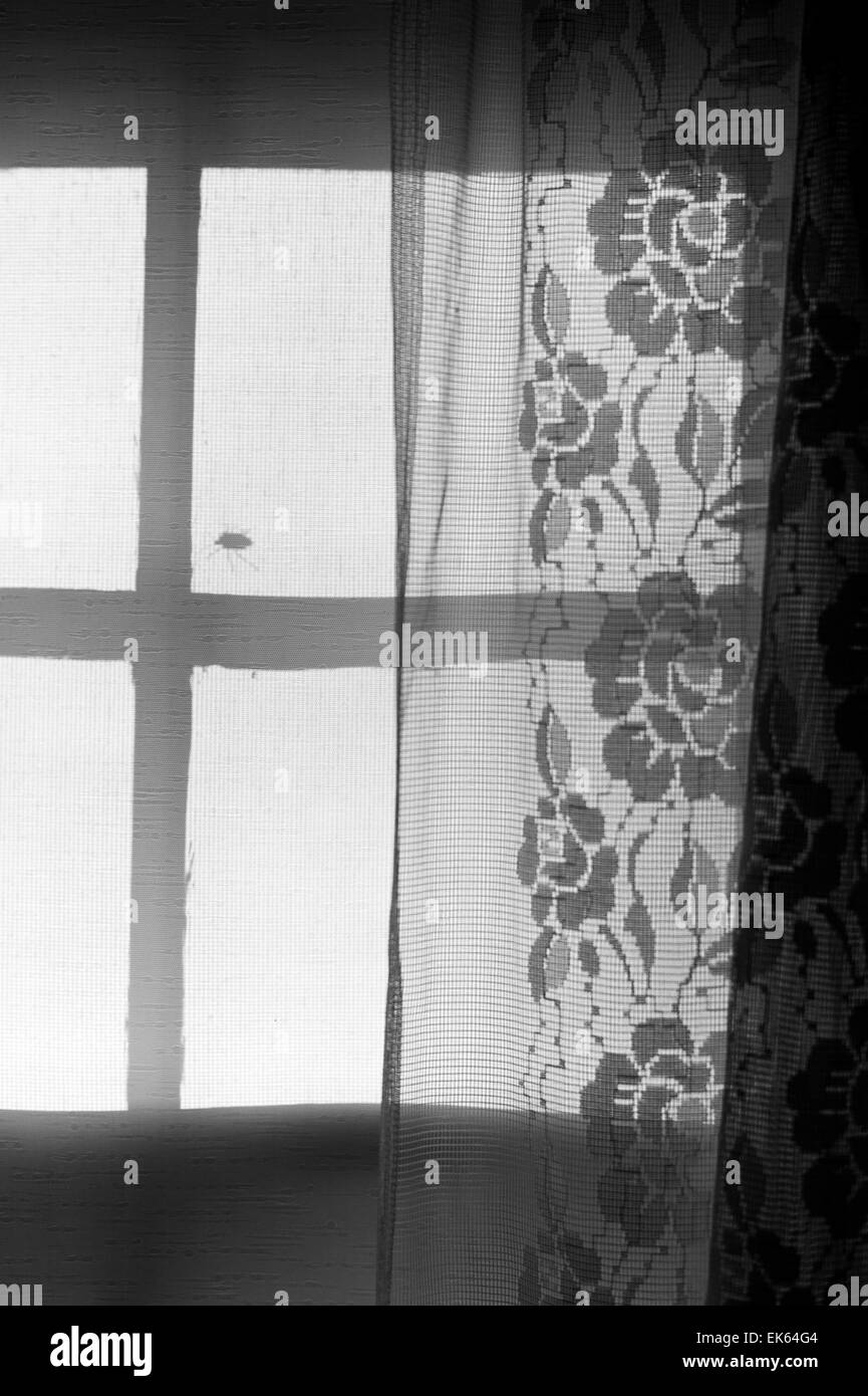 Noir & blanc, de rideau de dentelle rétro-éclairé par le soleil couchant Banque D'Images