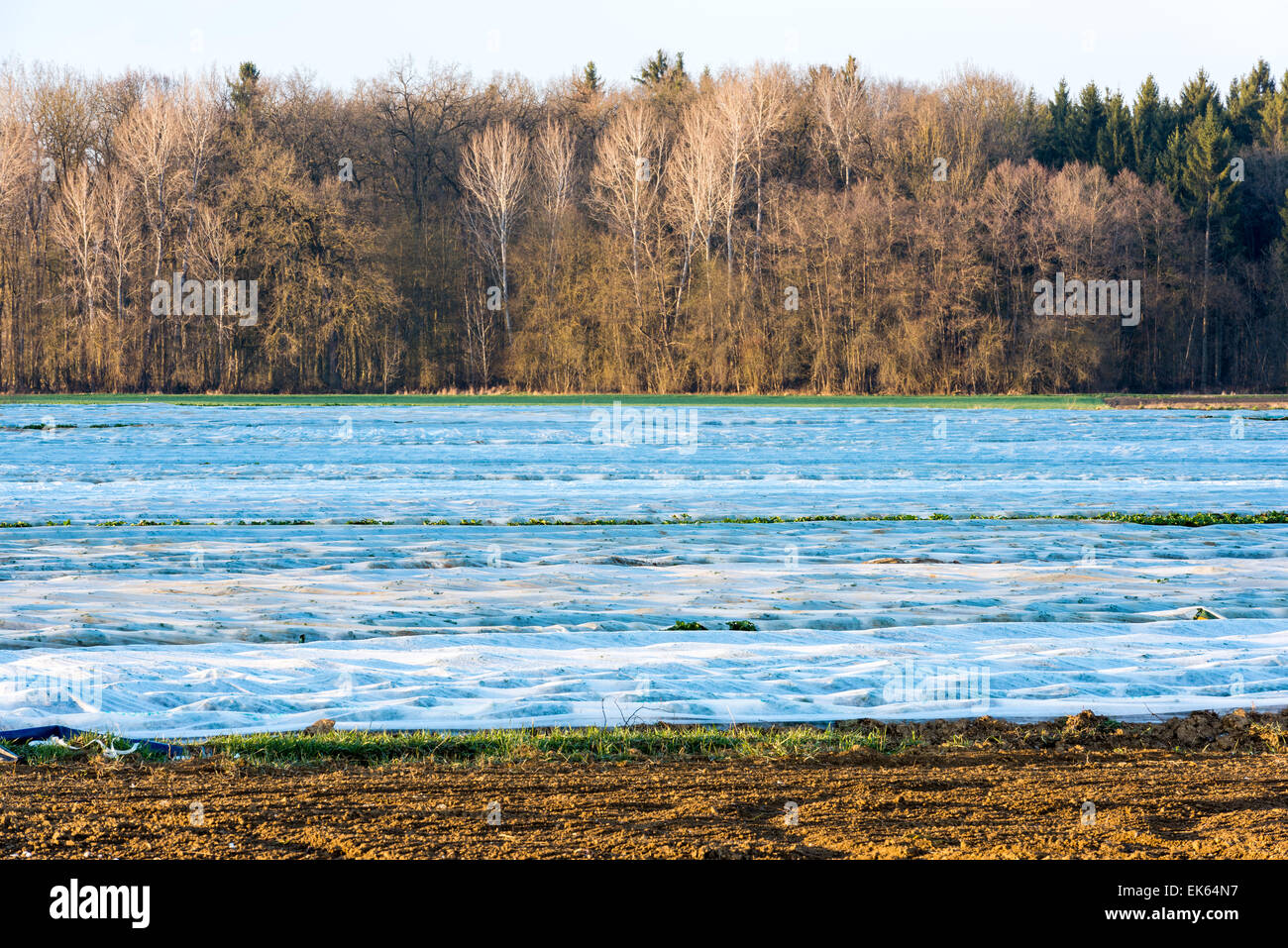 Déchets en plastique sans cesse dans notre environnement, toxiques, micro plastique, boîte en plastique, agriculteur, la pollution, l'agriculture, de l'agriculture, de l'aluminium u Banque D'Images