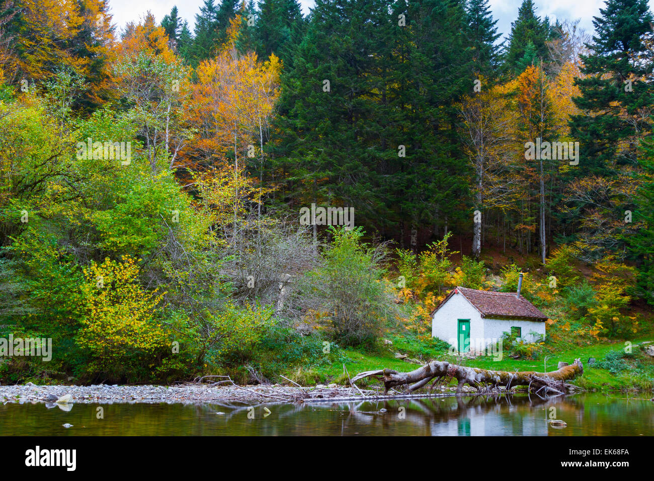 Cabine dans Urbeltza chemin de la rivière. Forêt d'Irati. Navarre, Espagne. L'Europe. Banque D'Images