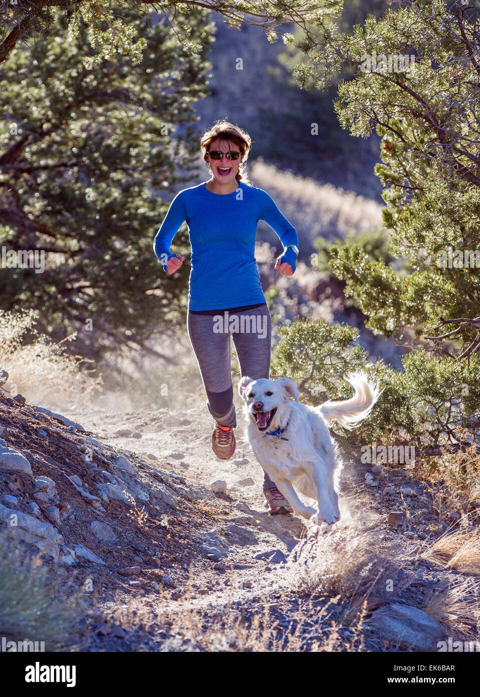 Belle jeune femme heureuse & chien qui court sur des sentiers de montagne près de Salida, Colorado, USA Banque D'Images
