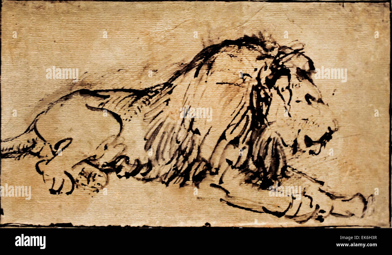 Lion couché face vers la droite 1660 Rembrandt Harmenszoon van Rijn1606-1669 Pays-Bas néerlandais Etch Gravure Banque D'Images