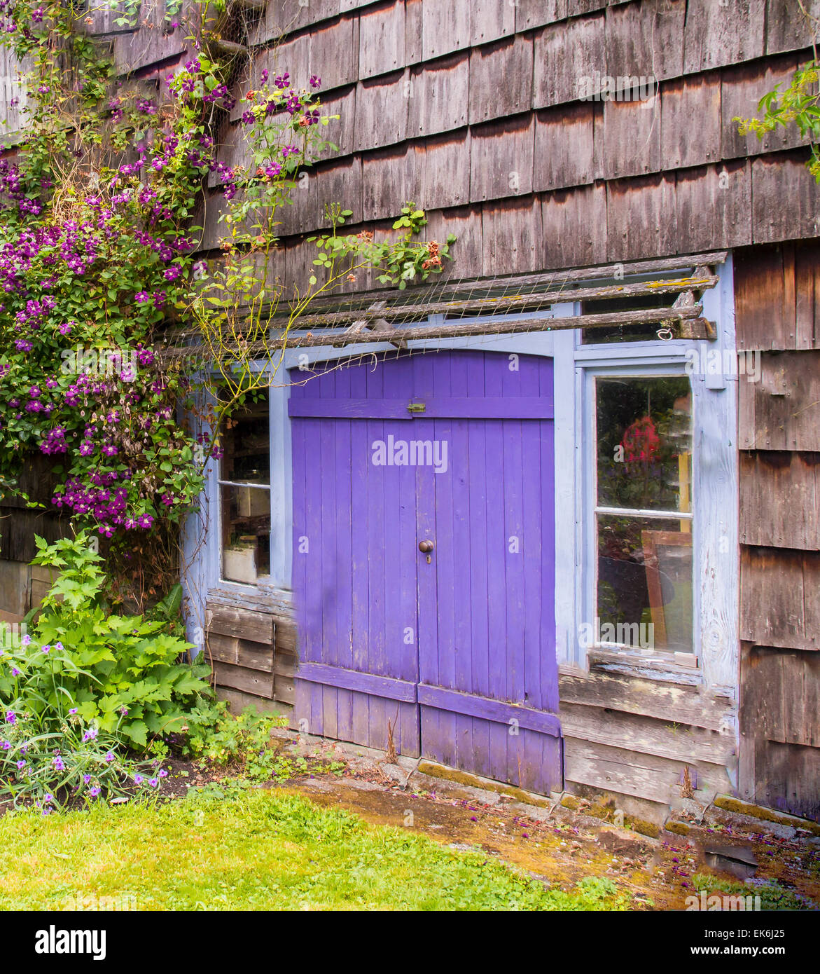 Vieux Chalet dans un jardin avec des clématites et un violet, porte en bois Banque D'Images