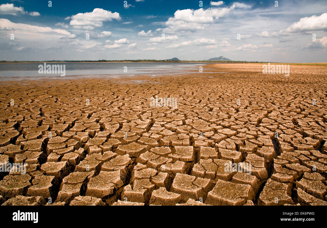 Saison sèche au Sri Lanka : les eaux de la martinique ont reculé, en Roumanie et la terre sèche vers le haut dans l'implacable soleil. Banque D'Images