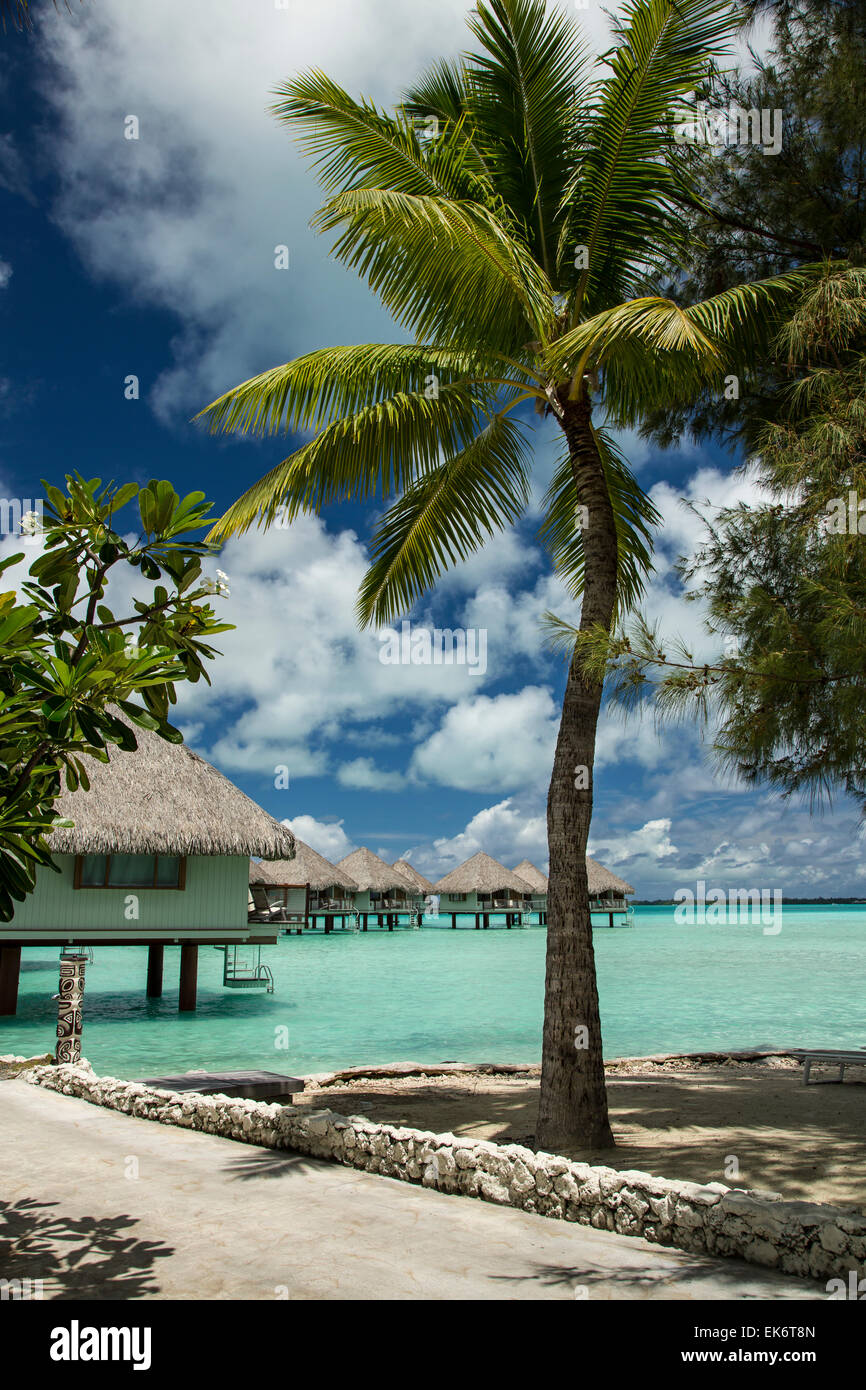 Chalets à Bora Bora sur les eaux turquoise et bleu ciel. Palmier en premier plan. Banque D'Images