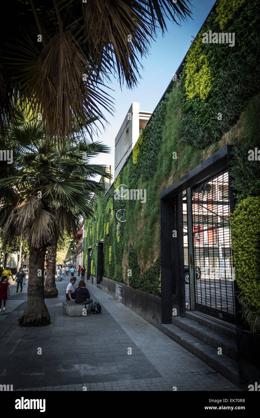 L'architecture contemporaine avec un jardin vertical dans le centre-ville de Mexico Banque D'Images