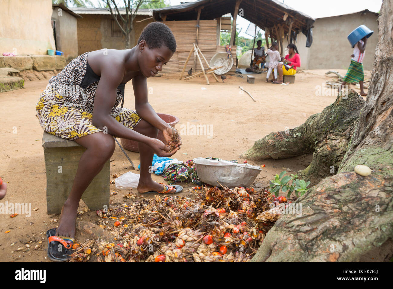 Les petits agriculteurs qui produisent l'huile de palme fait maison à Grand Bassam, Côte d'Ivoire, Afrique de l'Ouest. Banque D'Images