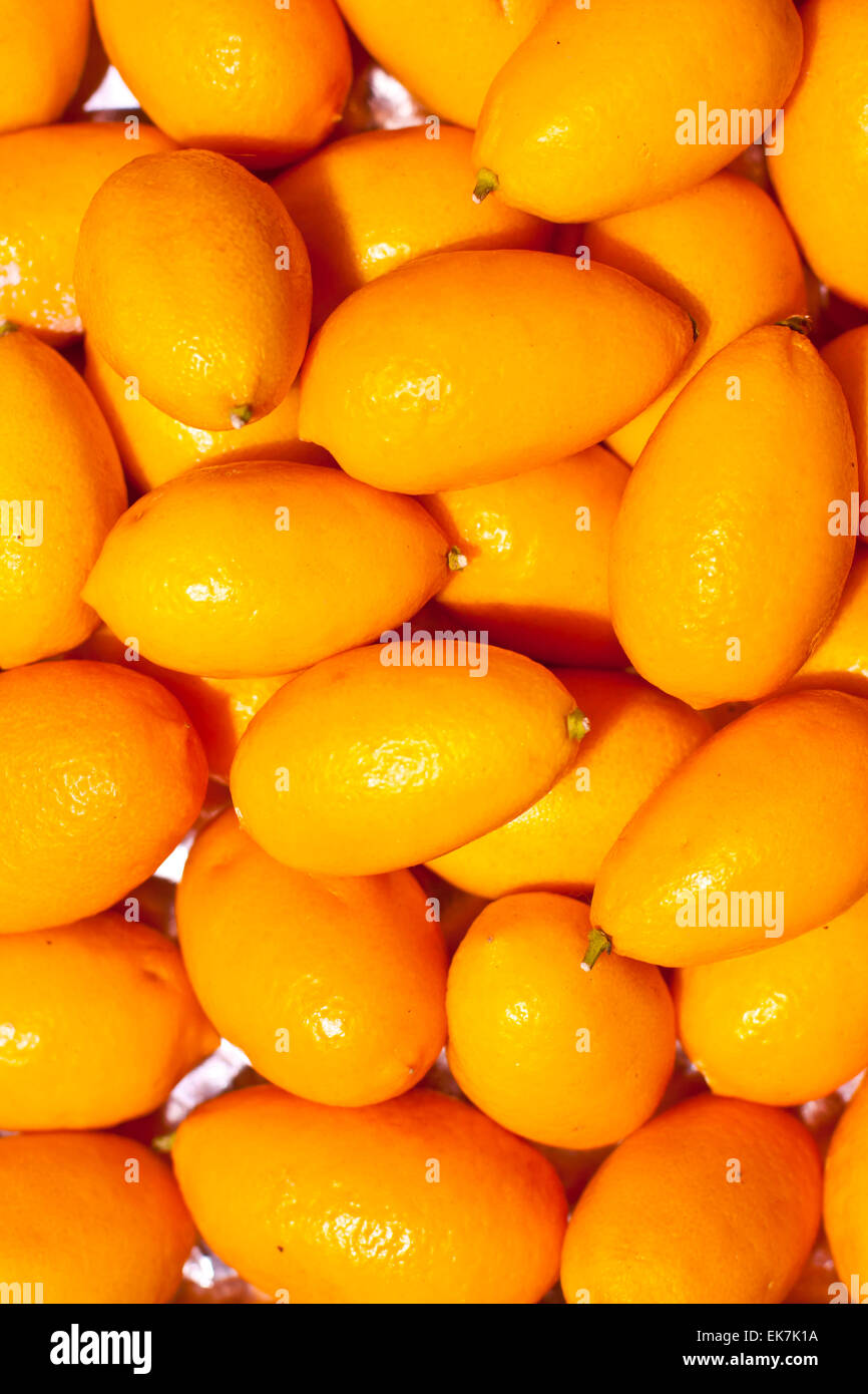 Citrons génétiquement modifiés Banque D'Images