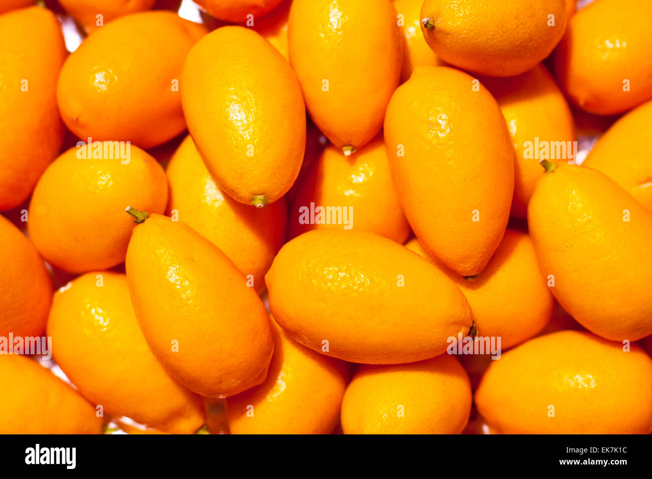 Citrons génétiquement modifiés Banque D'Images