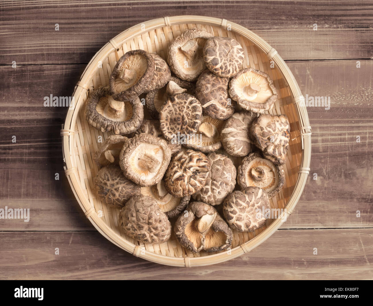 Champignons shiitake séchés Banque D'Images