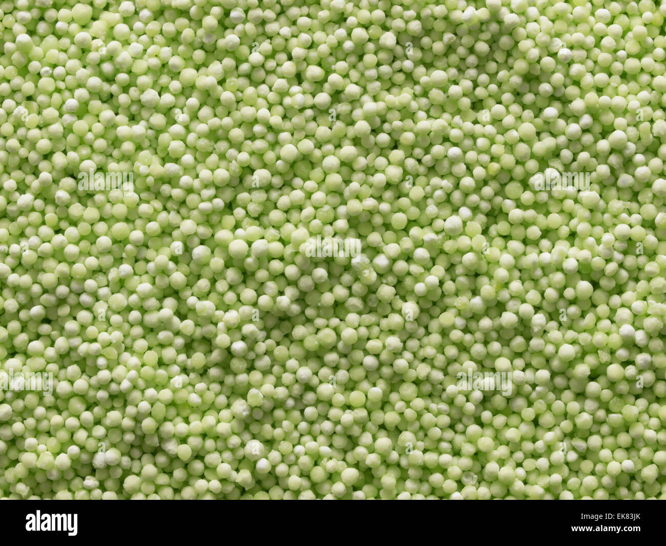Perles de sagou vert Banque D'Images