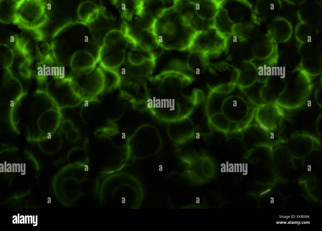 Des organismes unicellulaires microscopiques Abstract Background Banque D'Images