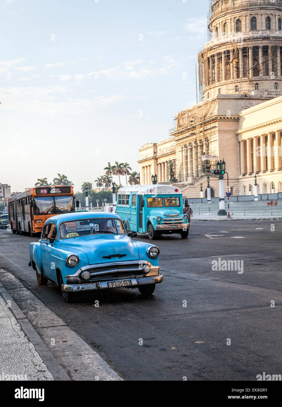 Vieille voiture bleu américain et les autobus dans le Paseo de Marti dans la vieille Havane à Cuba près du Capitolio bâtiment du Parlement. Banque D'Images