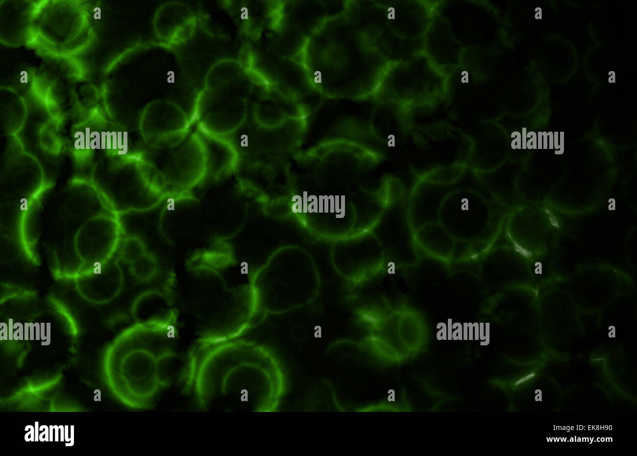 Des organismes unicellulaires microscopiques Abstract Background Banque D'Images