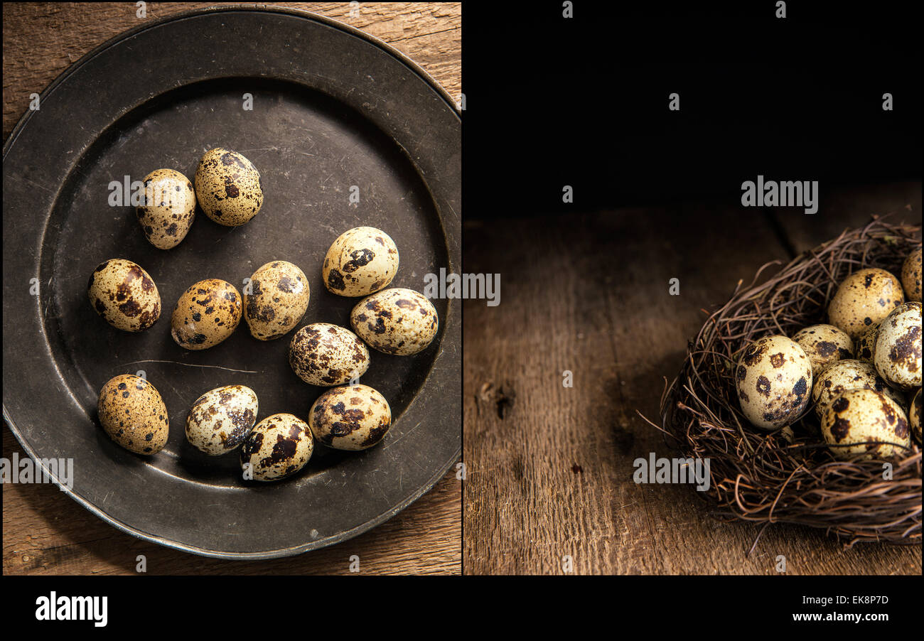 Compilation de moody éclairage naturel fixation d'quaills avec oeufs style vintage Banque D'Images