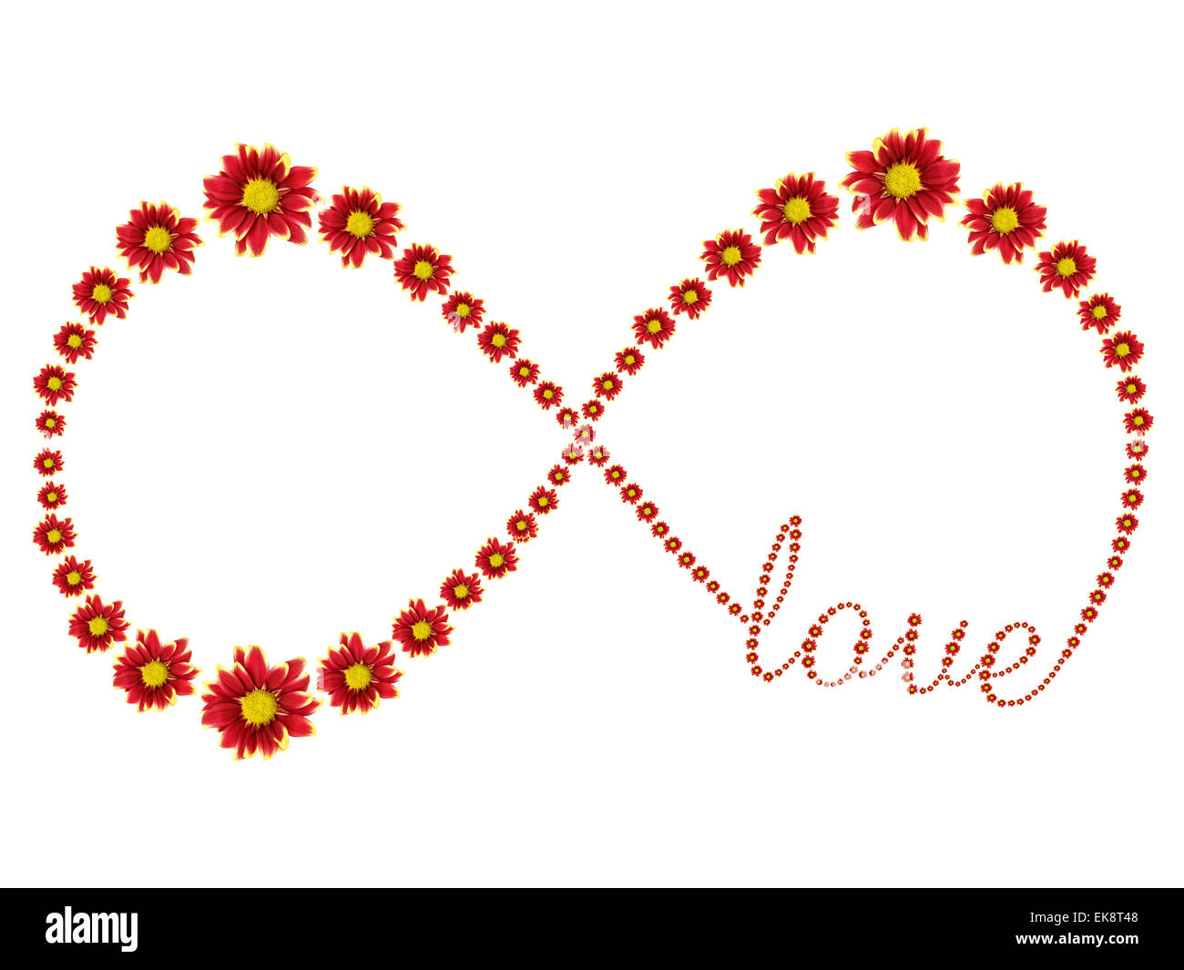 Symbole de l'infini de fleur rouge et de l'amour texte isolé sur fond blanc Banque D'Images