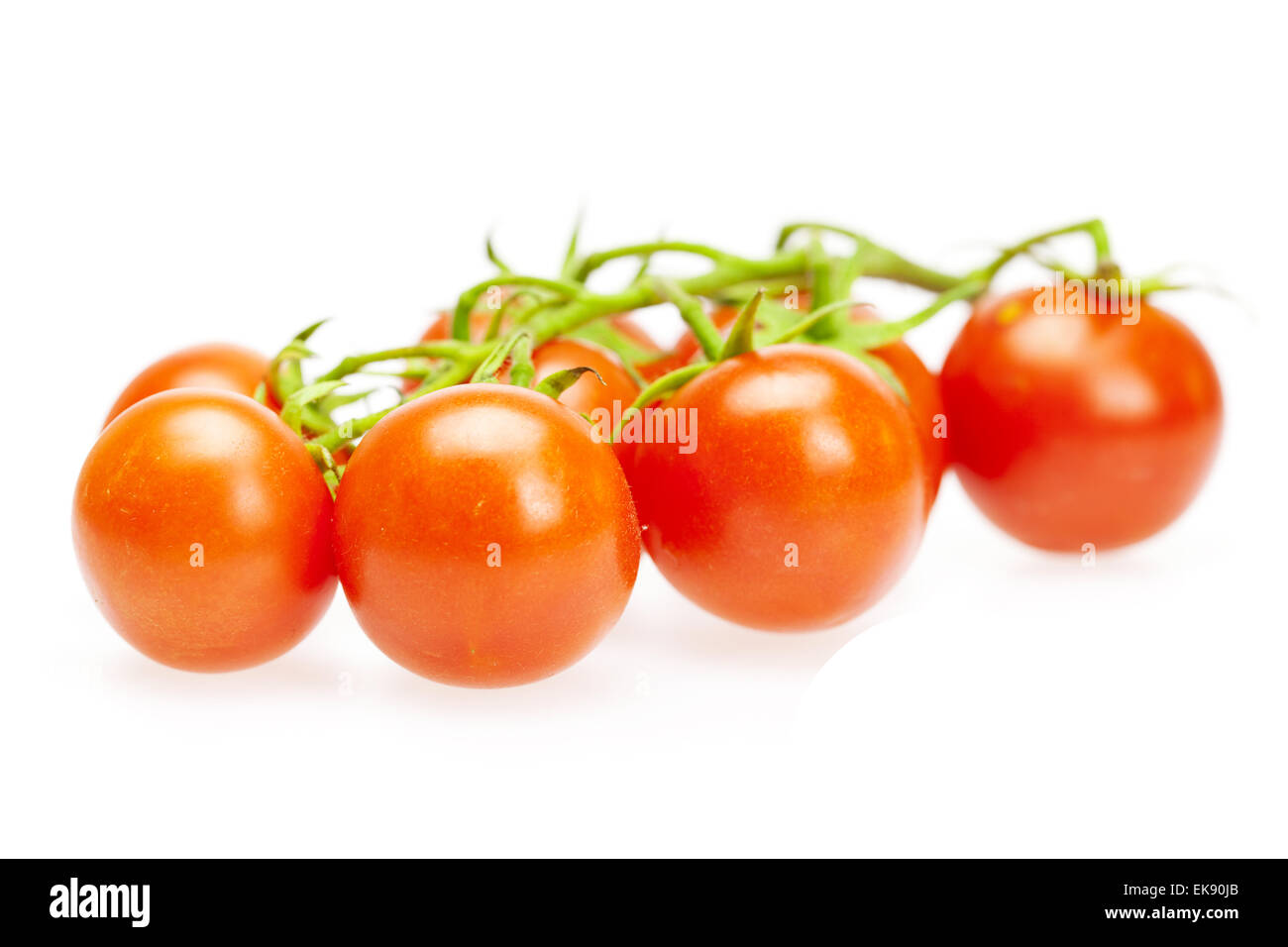 Les tomates juteuses isolated on white Banque D'Images