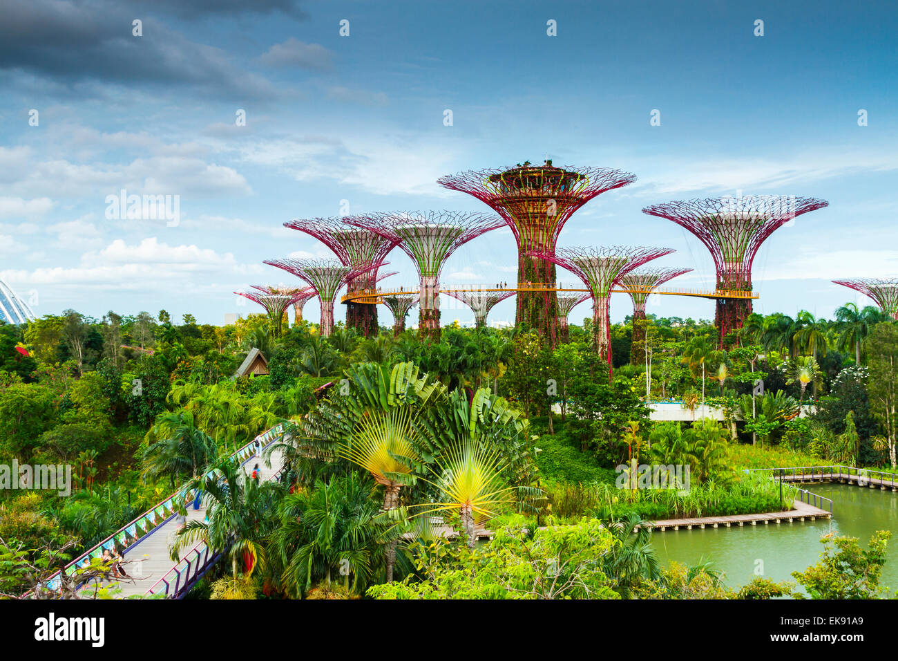 Supertree. Jardins au bord de la baie. Marina Bay. Singapour, en Asie. Banque D'Images