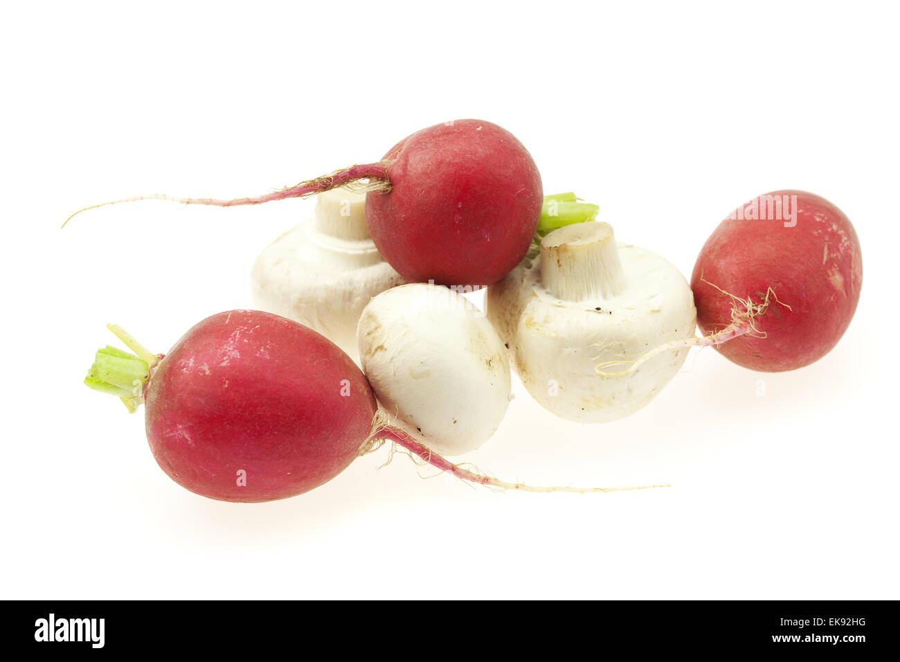Les radis et champignons isolated on white Banque D'Images