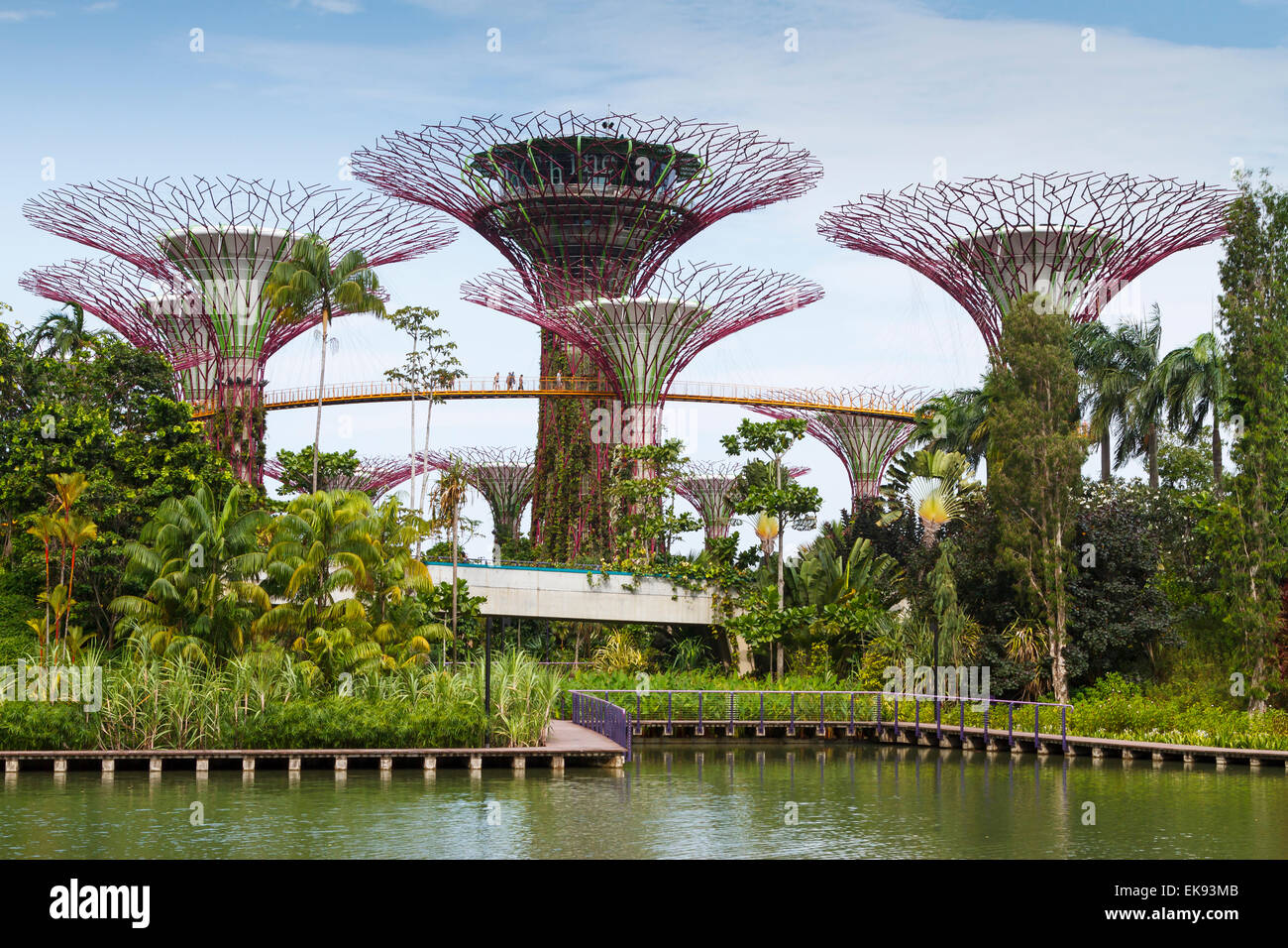L'Supertree Grove. Jardins au bord de la baie. Singapour, en Asie. Banque D'Images