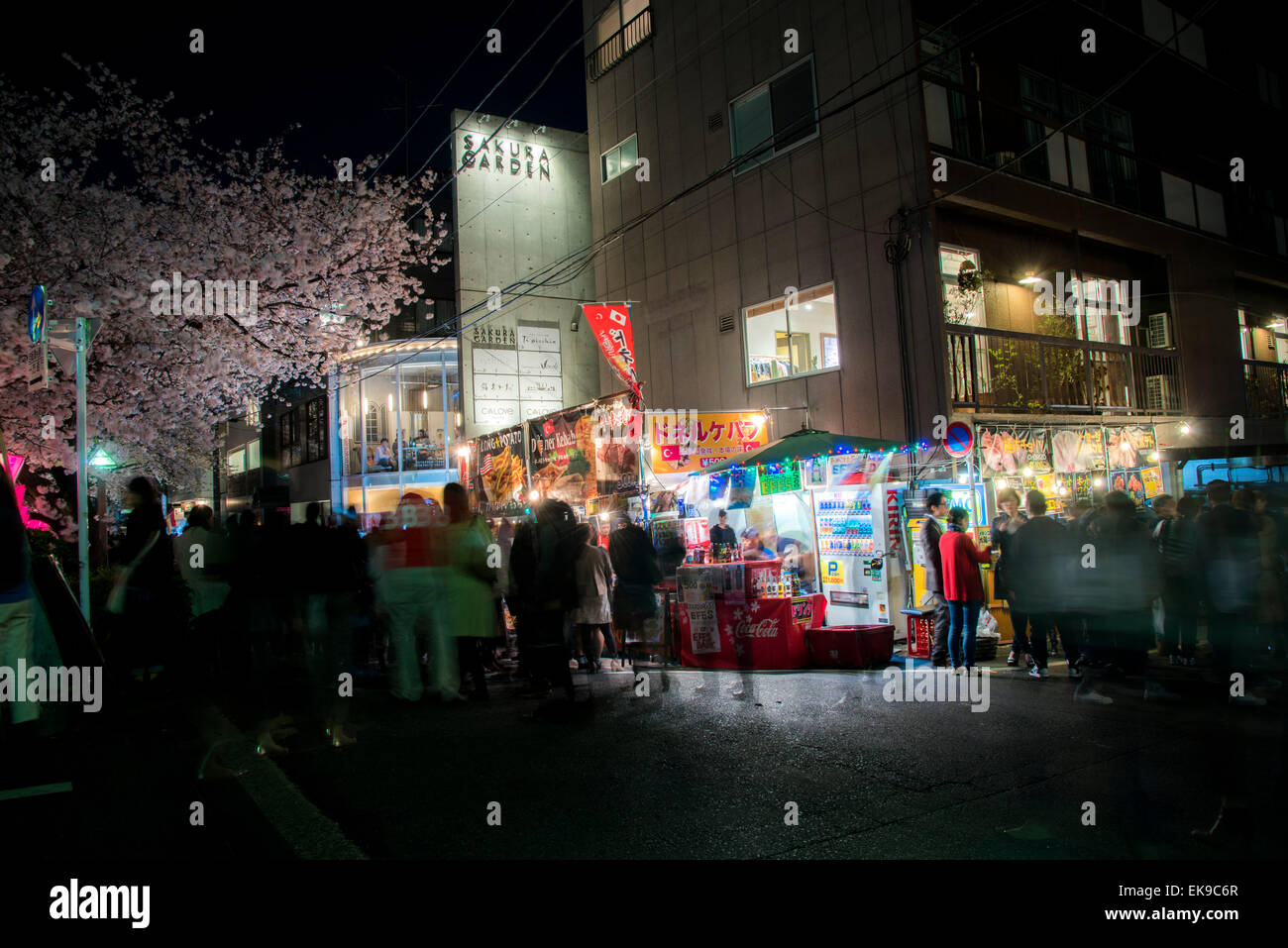 Fleur de cerisier,rivière Meguro Tokyo,Japon,,Meguro-Ku Banque D'Images