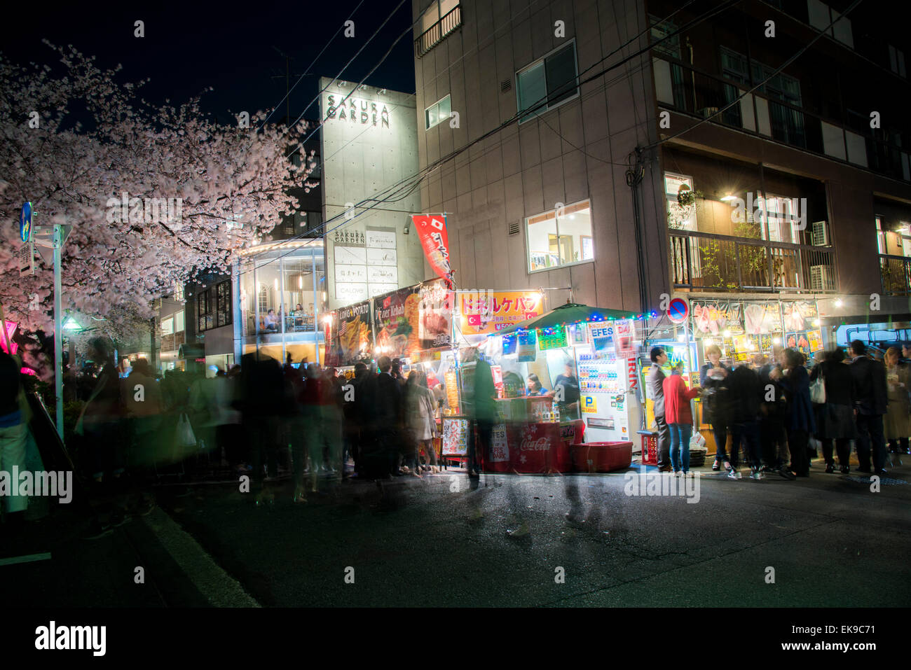 Fleur de cerisier,rivière Meguro Tokyo,Japon,,Meguro-Ku Banque D'Images