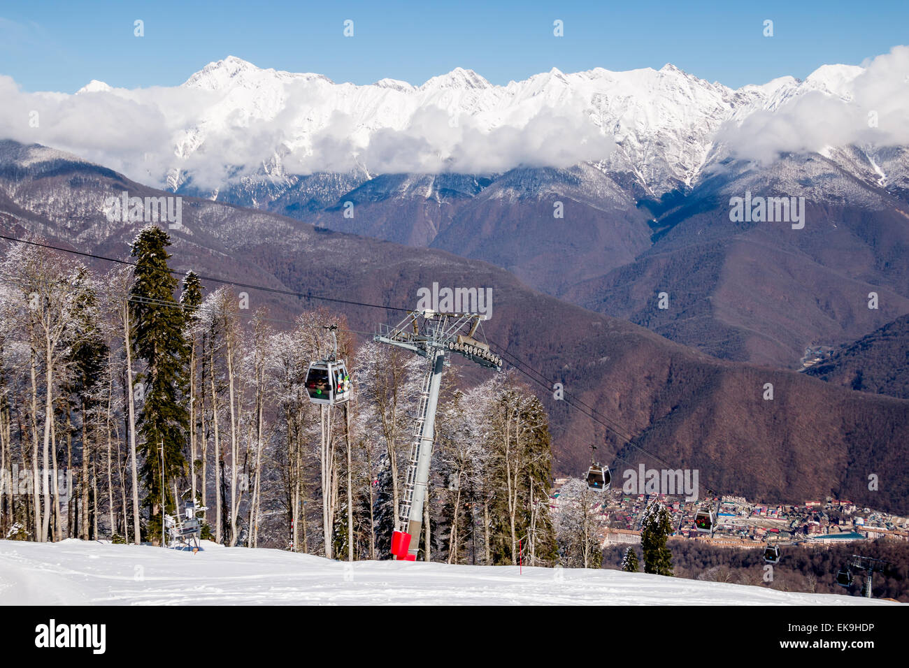 Pente de ski avec des arbres sur une journée ensoleillée Banque D'Images