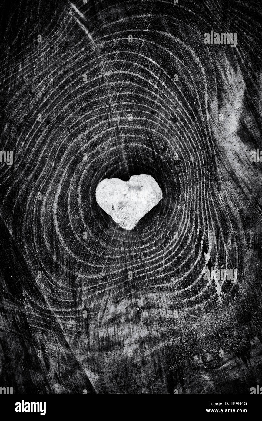 Pierre en forme de coeur sur tronc d'arbre scié. Coeur du bois Banque D'Images
