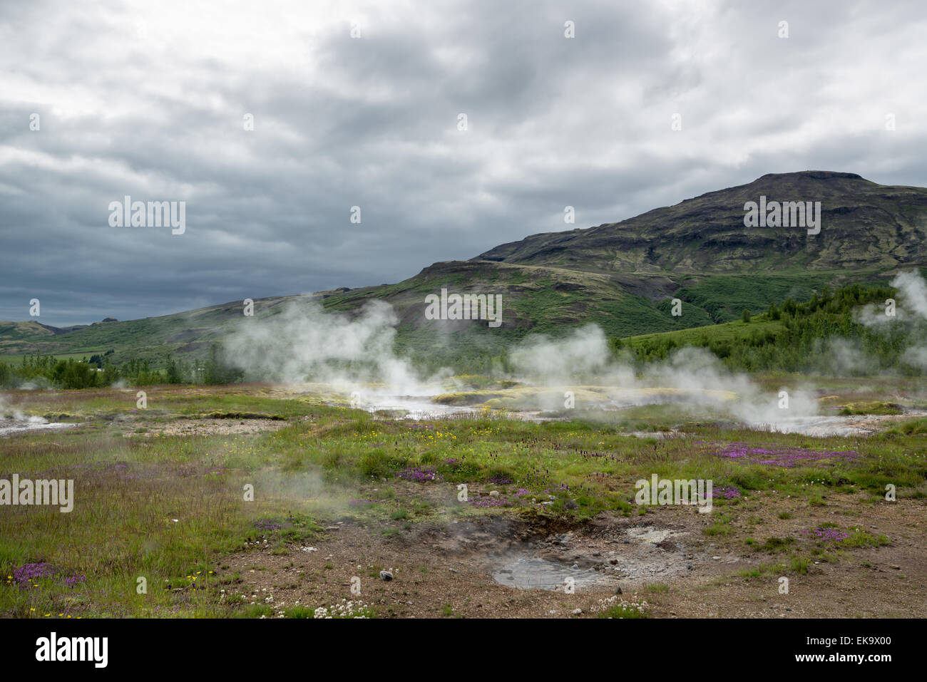 Geyser geysir Islande bouillante printemps spray fumée Banque D'Images