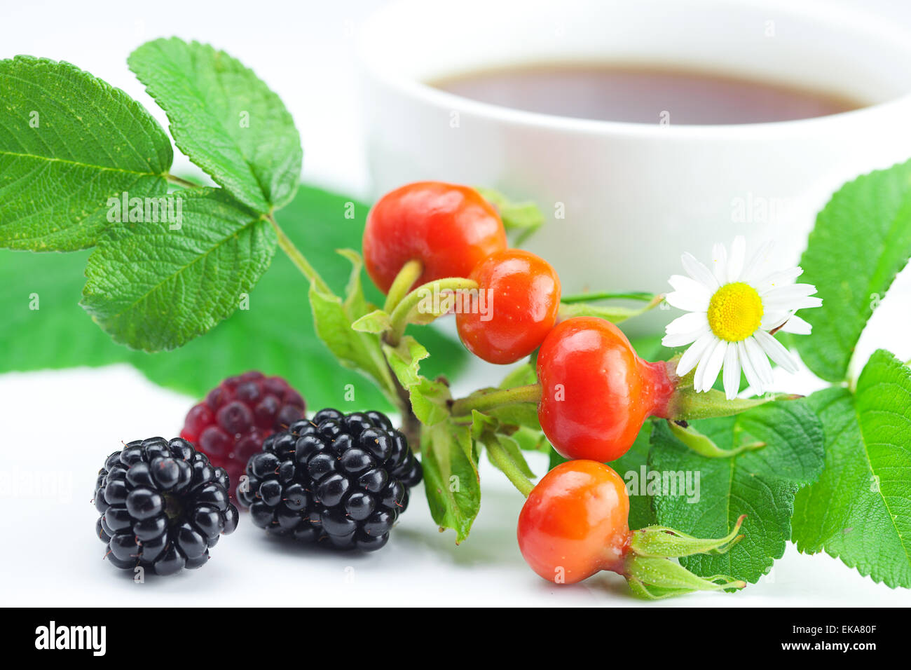 Tasse de thé, blackberry,framboise et fruits de rose musquée avec feuilles Banque D'Images