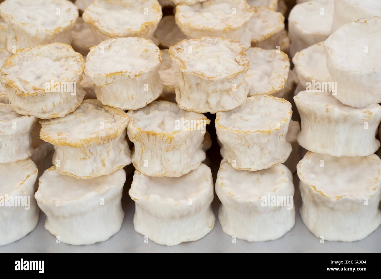 L'Italie, Lombardie, Valle Camonica Valley, Caprino fromage produit avec du lait cru de chèvre entier Banque D'Images