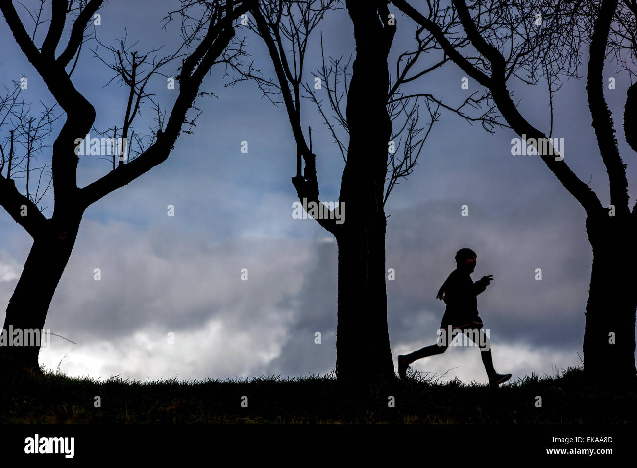 Running Man, silhouette d'un coureur dans le pays Banque D'Images