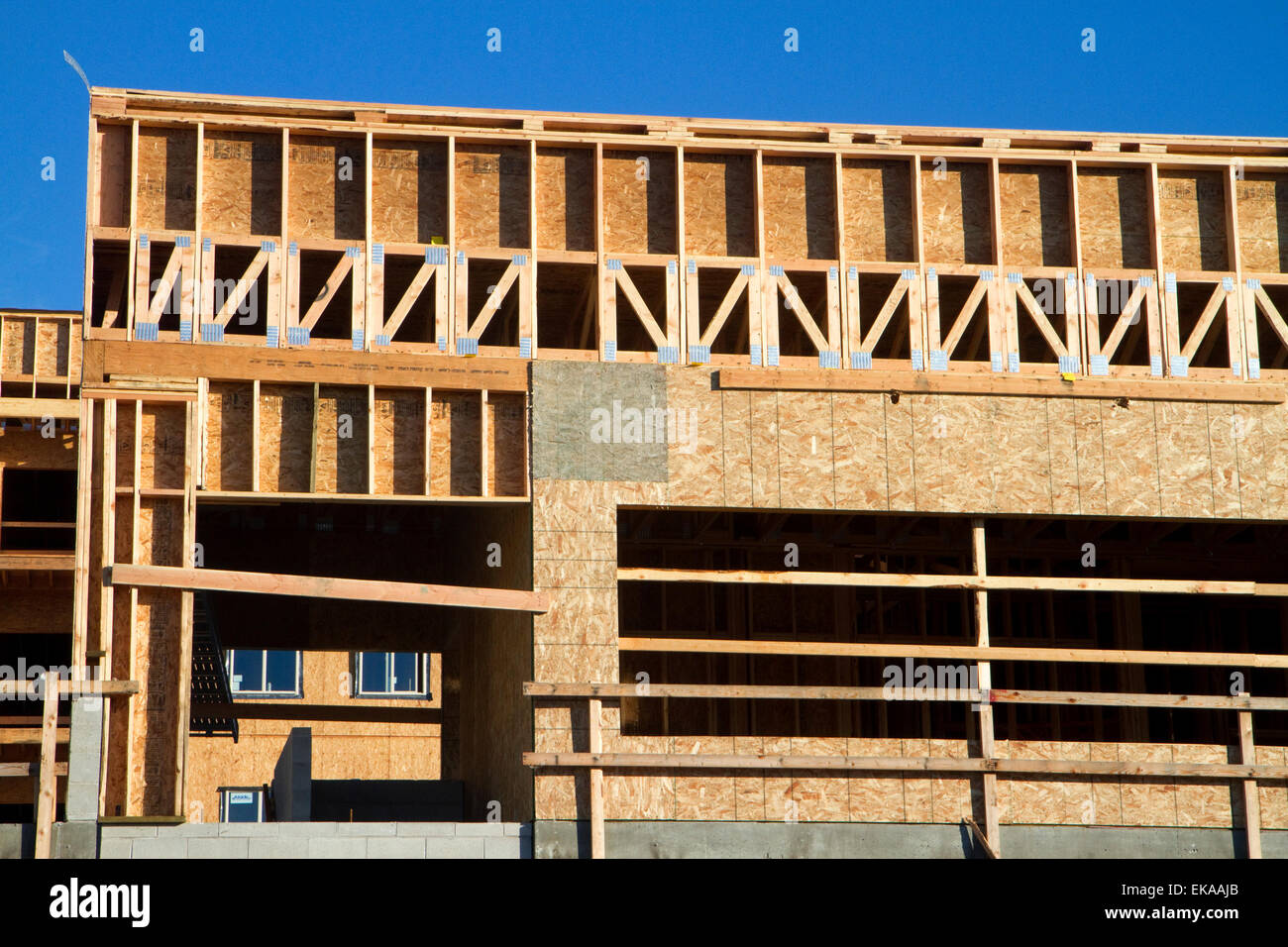 La construction en bois d'un nouvel immeuble d'appartements dans la région de Boise, Idaho, USA. Banque D'Images