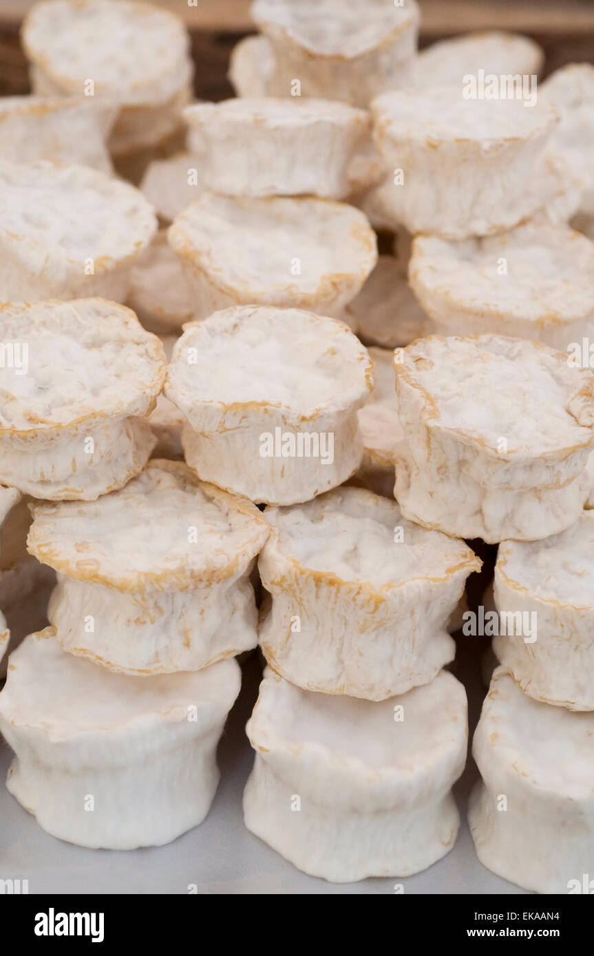 L'Italie, Lombardie, Valle Camonica Valley, Caprino fromage produit avec du lait cru de chèvre entier Banque D'Images