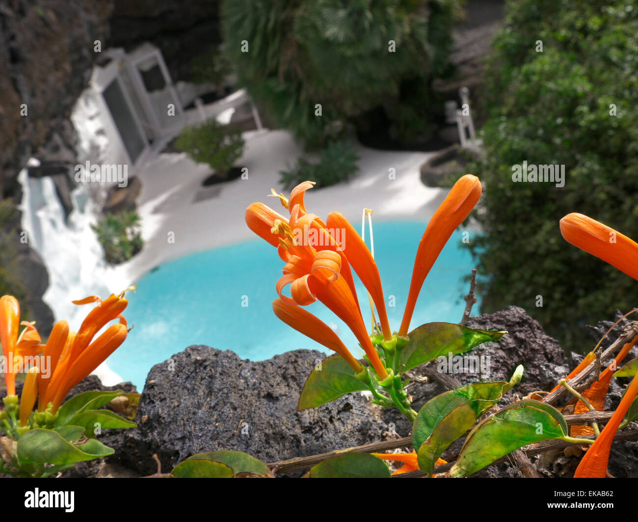 Cesar Manrique fundacion lave volcanique chambre intérieur avec piscine et fleurs exotiques Tahiche Lanzarote Iles Canaries Espagne Banque D'Images