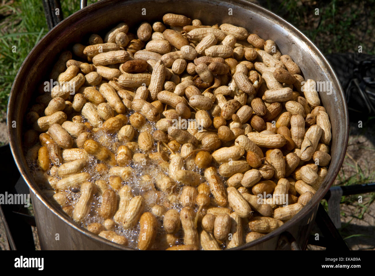 Dans une casserole, faire bouillir les arachides à un stand de produire dans les régions rurales de Géorgie, aux États-Unis. Banque D'Images