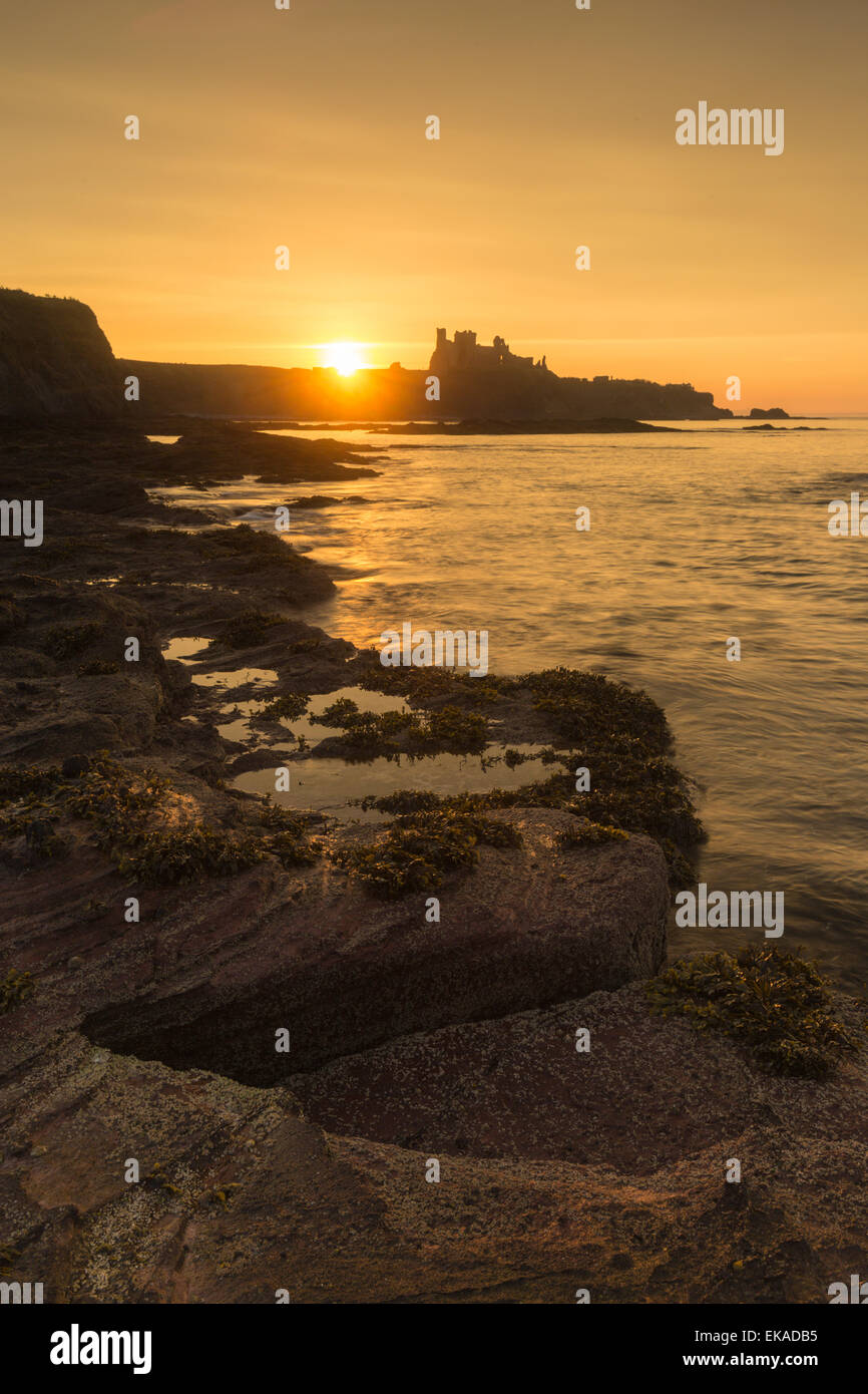 Le Château de Tantallon près de North Berwick qui surplombe la baie d'Oxroad sur l'Estuaire de Forth au coucher du soleil Banque D'Images