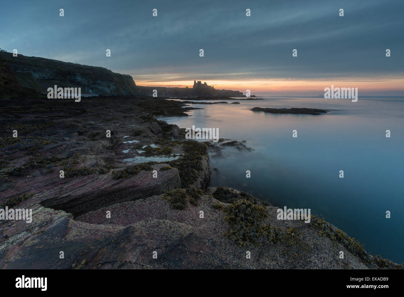 Le Château de Tantallon près de North Berwick qui surplombe la baie d'Oxroad sur l'Estuaire de Forth au coucher du soleil Banque D'Images