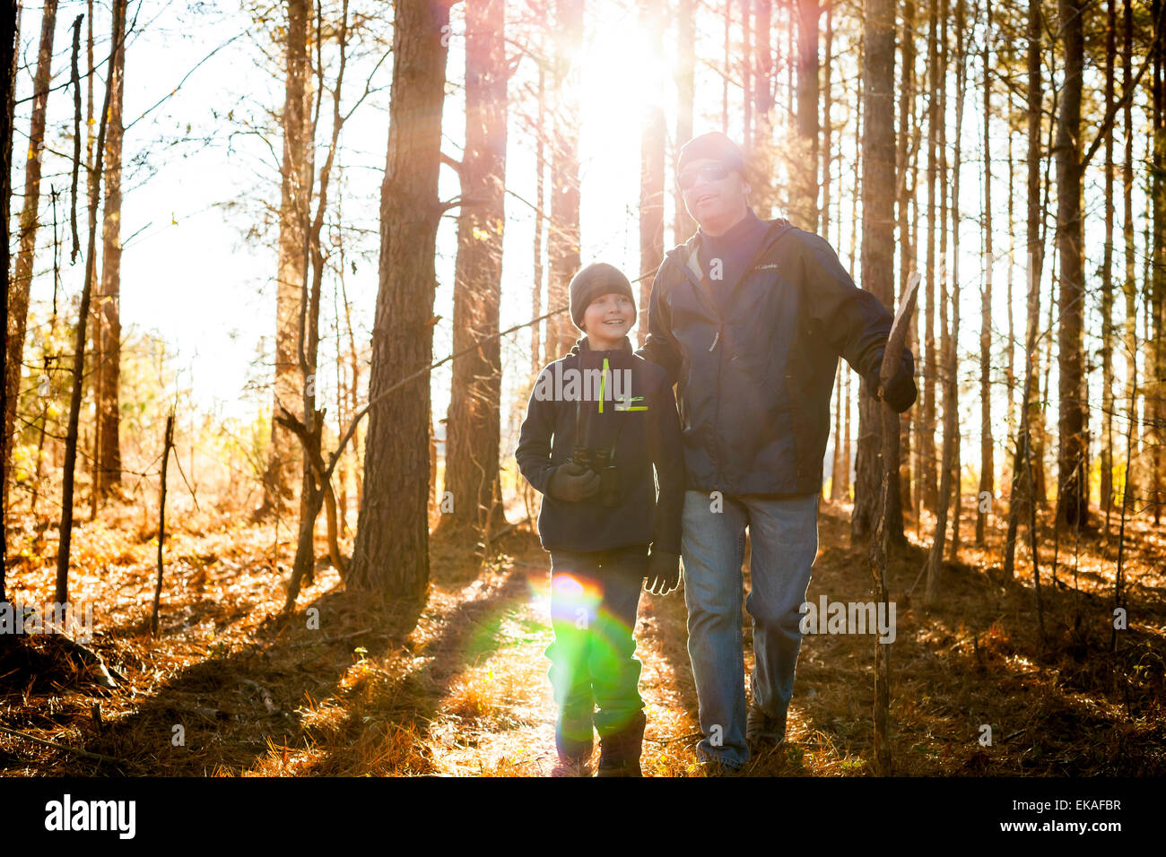 Père et fils randonnées dans les bois Banque D'Images