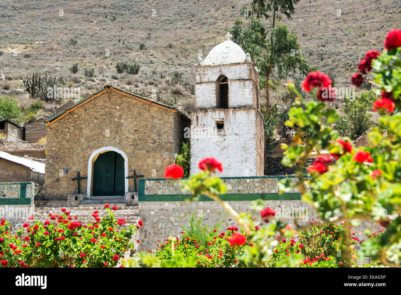 Vieille église coloniale à l'intérieur du Canyon du Colca au Pérou avec des fleurs en premier plan Banque D'Images