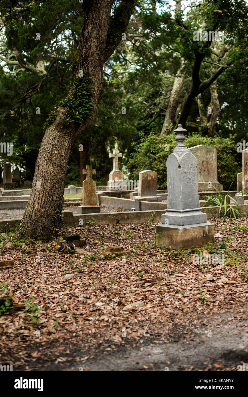 Pierres tombales dans l'ancien cimetière "cimetière de la guerre civile américaine à l'ère1900's Banque D'Images