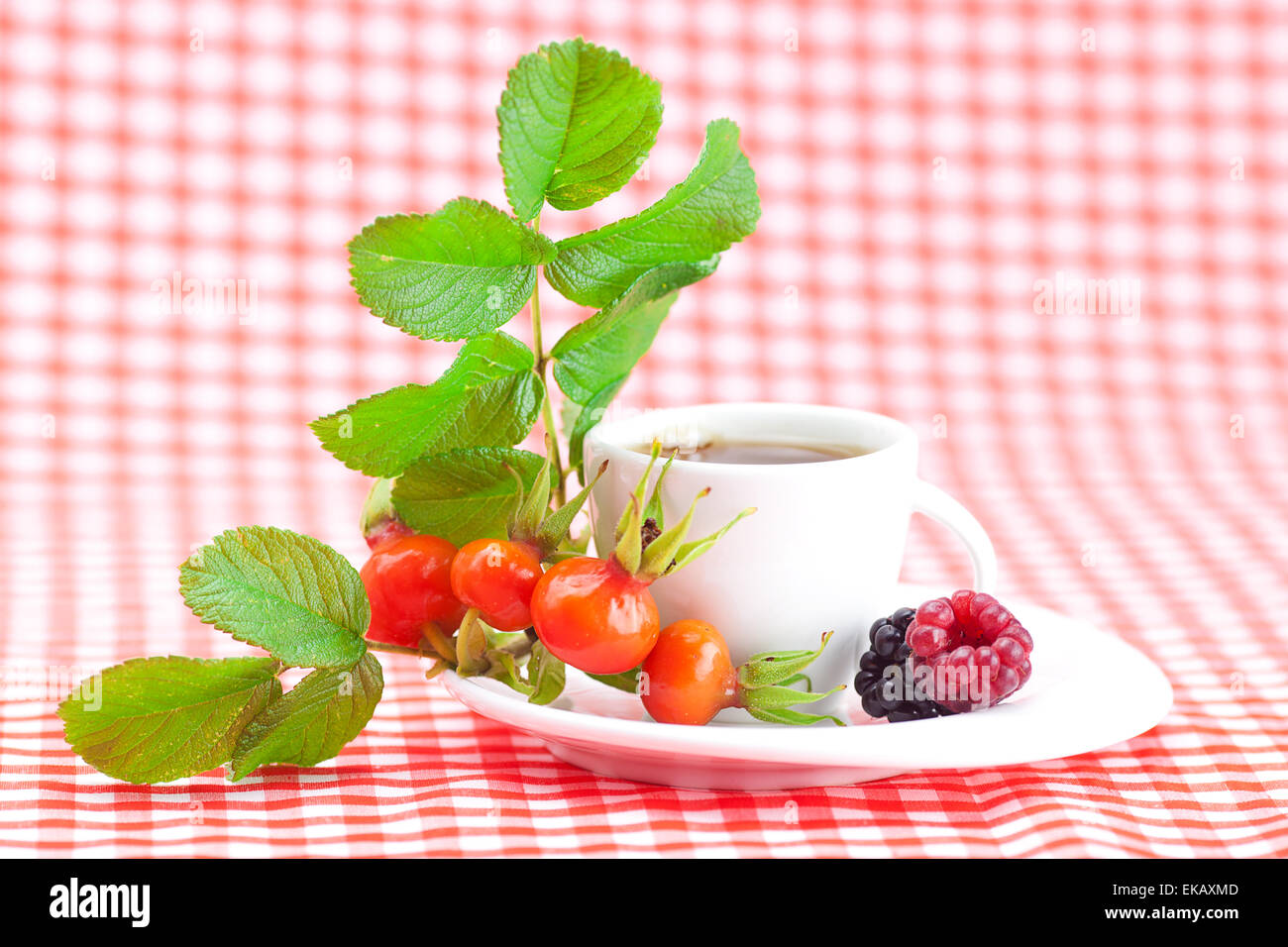 Tasse de thé, blackberry,framboise et fruits de rose musquée avec feuilles Banque D'Images