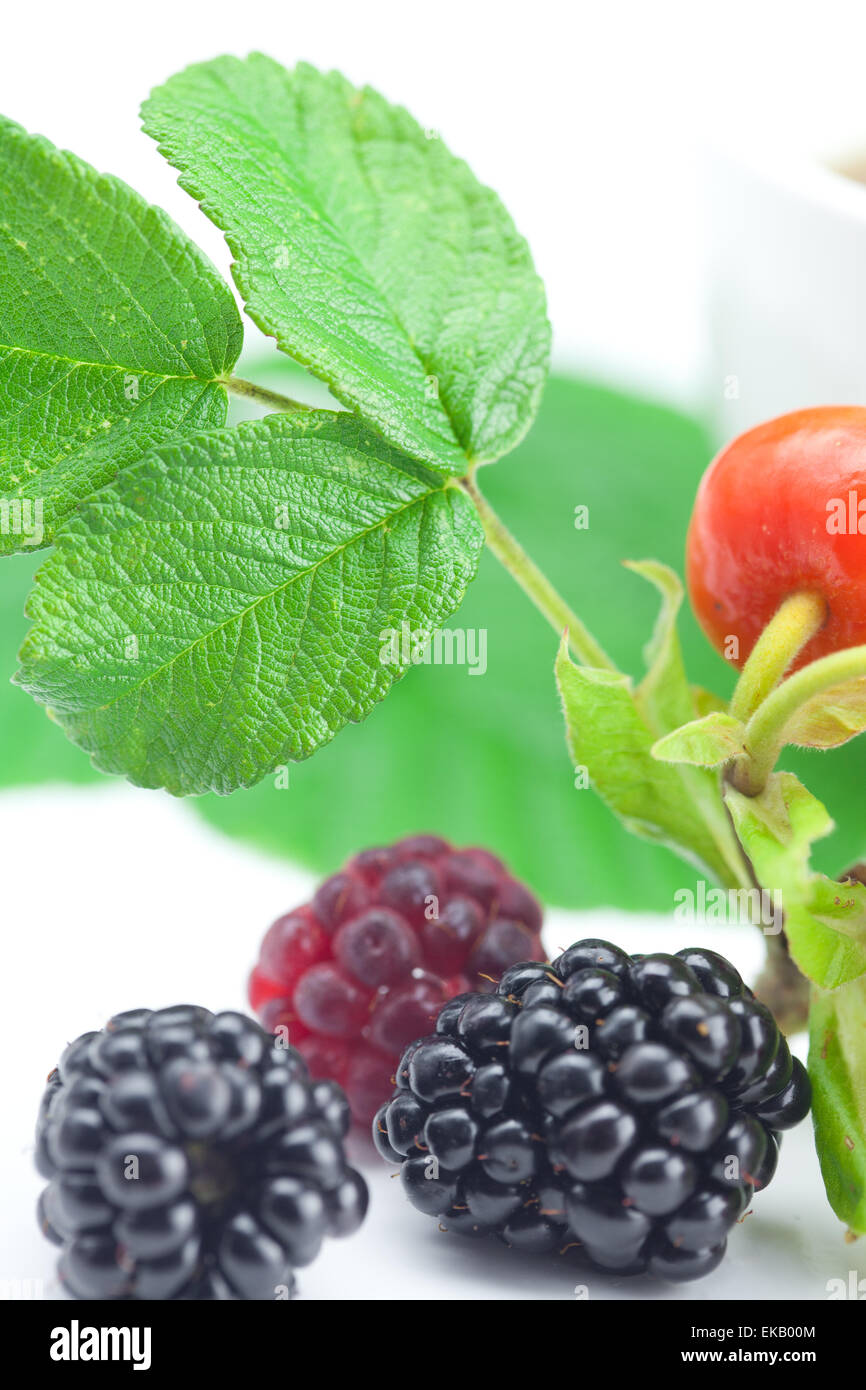 Tasse de thé, blackberry,framboise et fruits de rose musquée avec feuilles Banque D'Images