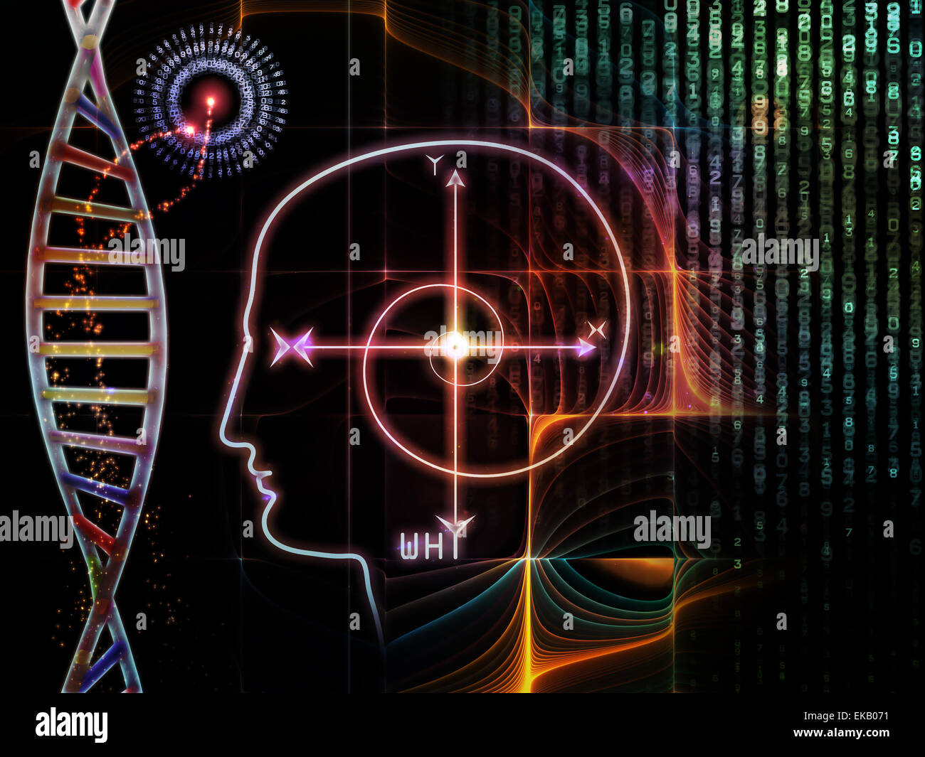 Paradigme de la conscience Banque D'Images